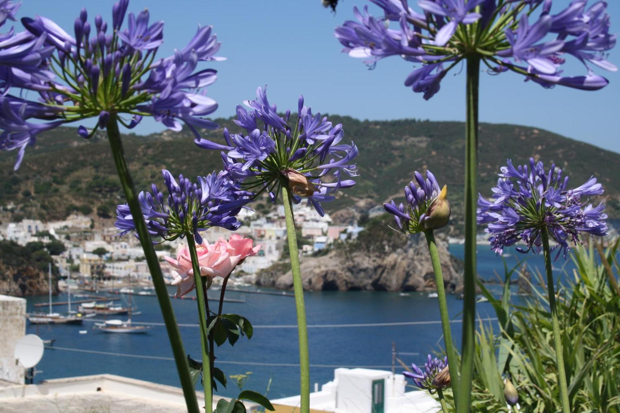 Villa Ersilia Ponza Exteriér fotografie