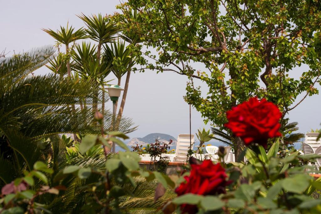 Villa Ersilia Ponza Exteriér fotografie