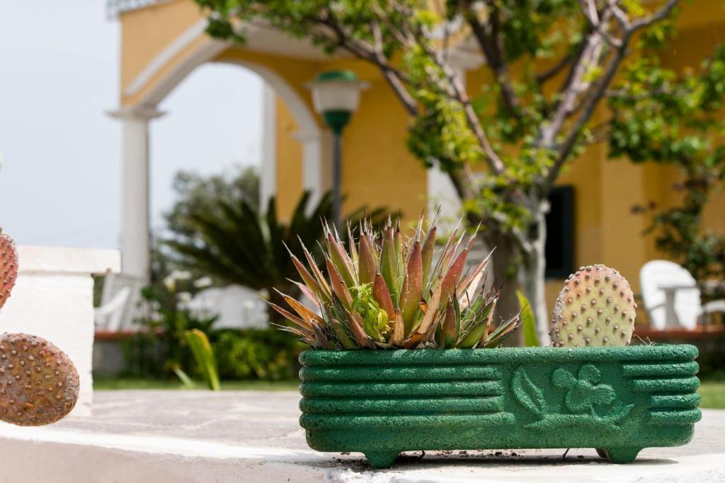 Villa Ersilia Ponza Exteriér fotografie